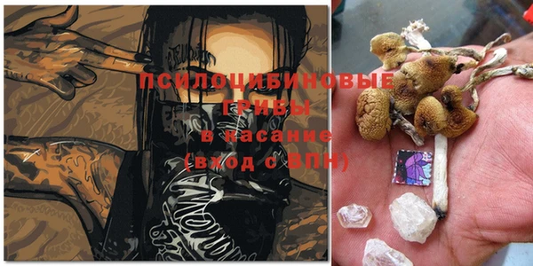 PSILOCYBIN Алексеевка