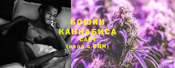 PSILOCYBIN Алексеевка