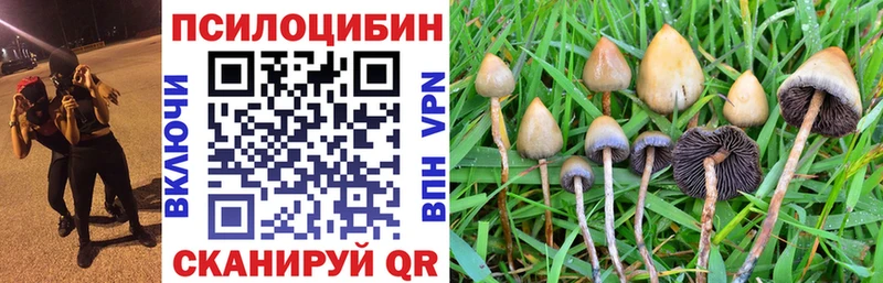 Псилоцибиновые грибы Cubensis Саки