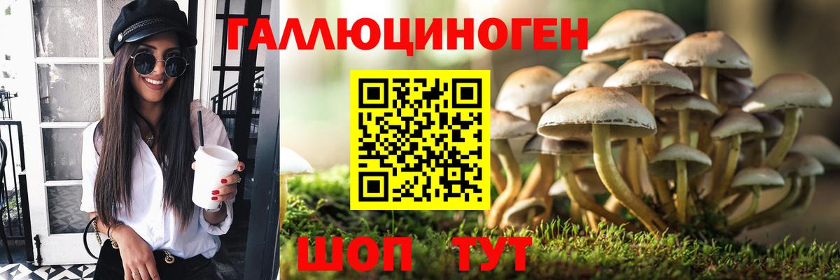 Саки  Псилоцибиновые грибы мухоморы  Вход с VPN 